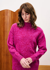 Trui Roze-Perrein Pull