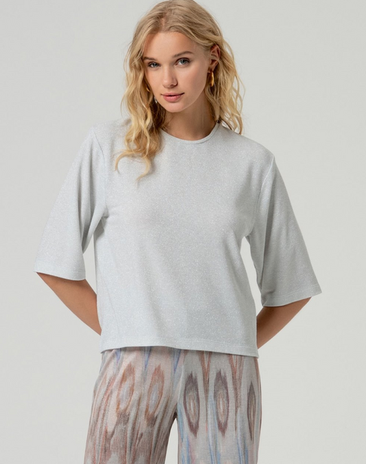 Top Zilver-Bayo Top